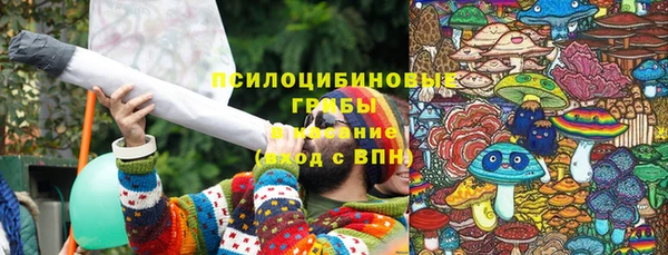 прущая мука Абаза