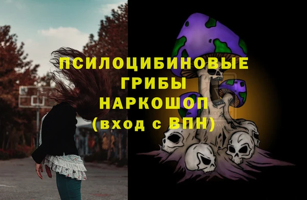 ешки Абинск
